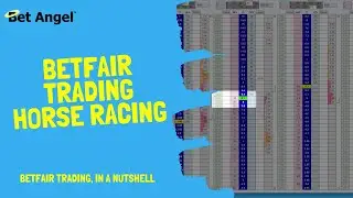 Betfair trading on horse racing - Explained in 3 minutes