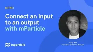 Connect an input to an output with mParticle