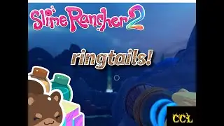 ringtails and upgrades!!