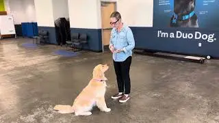 Eye contact games, level 1
