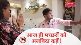 Ultimate Solution For Mosquito Free Home | Mosquito Control Service With Pepcopp Pest Control