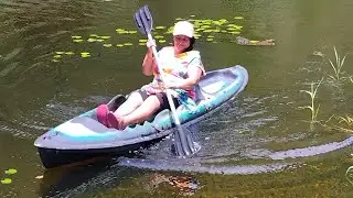 Mostrando  a natureza 