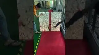 Interactive Led display screen test