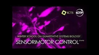 Membrane Excitability and Synaptic Plasticity (Lecture 2) by Suhita Nadkarni