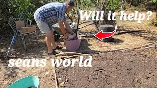 Could Adding This Save My Plants From Drought?