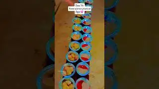 Appe, Cutlet, chowmene Food practical in school | #shorts #food #school #cooking