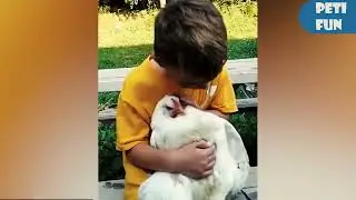 Adorable Cat Makes a BIG MESS! 🤣 | Funniest Pet Fails @petcollective