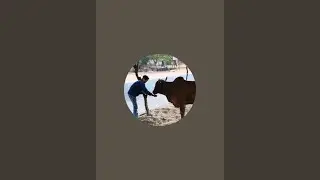 gau raksak gangesh chauhan is live