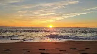 Summer Day Meditation 🌿 30-Minute Calm & Mindful Relaxation