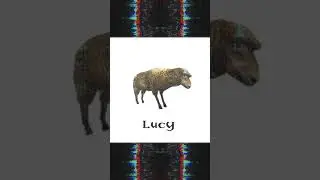 Lucy