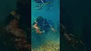Sneaky Tactics: Army Special Forces Closed-Circuit Dive Exercise