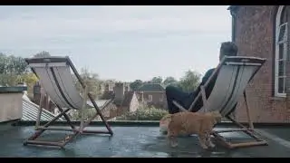 LUKE WRIGHT: Joy! (trailer)
