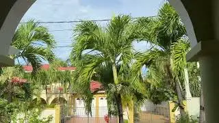 Neighbourhood views - Kingston Jamaica October 17, 2025