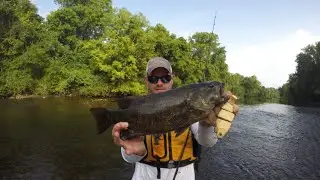 TN Bronze on the Bull Shad