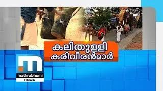 Fake Fitness For Jumbos: Action Against Dr Tharakan| Mathrubhumi News