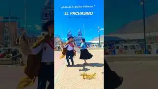 M&Uacute;SICA DE HU&Aacute;NUCO. 🇵🇪#elcuraca #elpachasino #baile #per&uacute; #Zapateo #folklore #huayno #Panao #pachitea