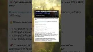 Прожиточный минимум увеличится почти на 15% в 2025 году #прожиточныйминимум  #льготы #пенсионеры