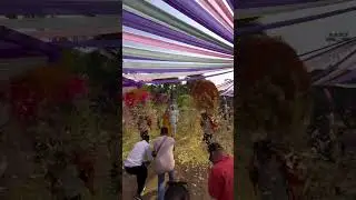 #weddingflowerdance 8939358262 #bestcendimelamcontact #birthdayevent #shootingevent #cheafguest