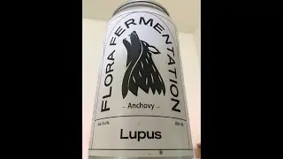 Flora Fermentation Lupus - Анчоус (Обзор пива № 1514) с участием AlinJapan