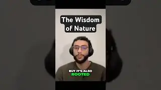 Bamboo Wisdom