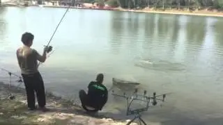 Lago delle Rose  Monselice Padova        Big Amur 25kg