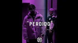 [FREE] Bad Bunny x Jhay Cortez Type Beat 2020 | &ldquo;Perdido&rdquo; (@8qsquare)