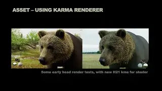 Wet Bear &mdash; рендеринг мокрых животных с помощью Karma XPU | Crater Studio | Tokyo HIVE 2025