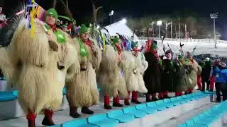 Norwegian fans at 2018 Olympics biathlon