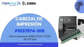 Cabezal de Impresi&oacute;n ZEBRA para ZT220, ZT230 203Dpis P1037974-010