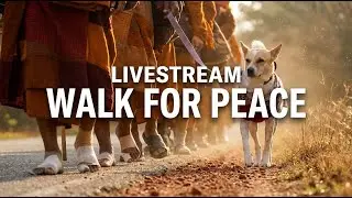 🔴 Livestream: Tonight's arrival at our night rest stop on Day 93 - 1/26/2026.