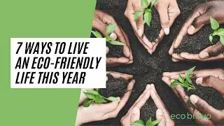 7 WAYS To Live An Eco-Friendly Life This Year