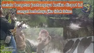 Casting ikan gabus sambaranya terlalu sadis bikin dekdekan
