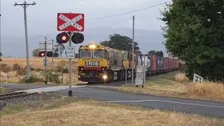 TasRail TR16 TR15 #31 train crossing Bishopsbourne Road