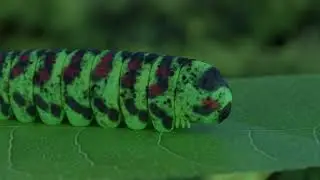 Beatiful nature. 3D in macro photography style.