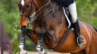 Princeton Show Jumping 2025- 3rd place Hamel | Cantucardi-7/5/25