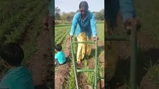 gavhachi kolpan😂