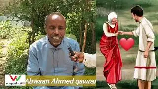 abwan axmed qawrax aya habla ku boriyey hablaha inay dadnimada ka door bidan lacagta o guurka fudey