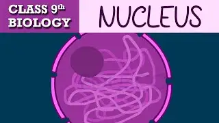 #The fundamental unit of life | Part-4 | CBSE class 9th BIOLOGY | CHAPTER-1 | NCERT CLASS 9