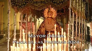 [4K] MAYOR DOLOR EN PASIEGAS | SAN ISIDRO DE ARMILLA | GRANADA 2024
