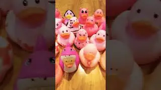 A Big Rubber Duck Collection