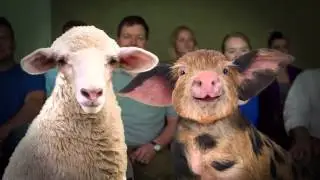 Iowa State Fair 
