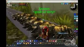 leveling guide + farm gold wow classic som DME / DMT untuk mage solo ! for level 55 - 60