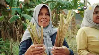 Penguatan Branding Produk Tani Unggulan dengan Integrasi Solar Tunnel Dryer di BUMD Tamanmartani