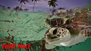 Composition is King | Taking Your Camera Underwater!
