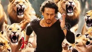 اسد وحش واسطوره بيدخل عالم القتال من صغره مجرم كبير مبيهمهوش حد ولا لي في الحب #اكشن #كوكلي