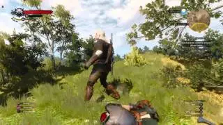 The Witcher 3 Fatality
