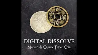 Digital Dissolve (2)