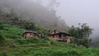 The nepali beautiful village of nepal himalayan organic place real lifestyle 