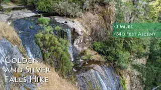 Golden and Silver Falls Hike Guide | Coos Bay, Oregon