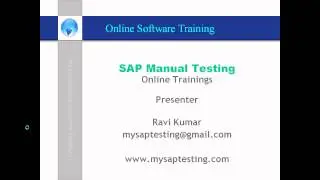 SAP Manual Testing.avi